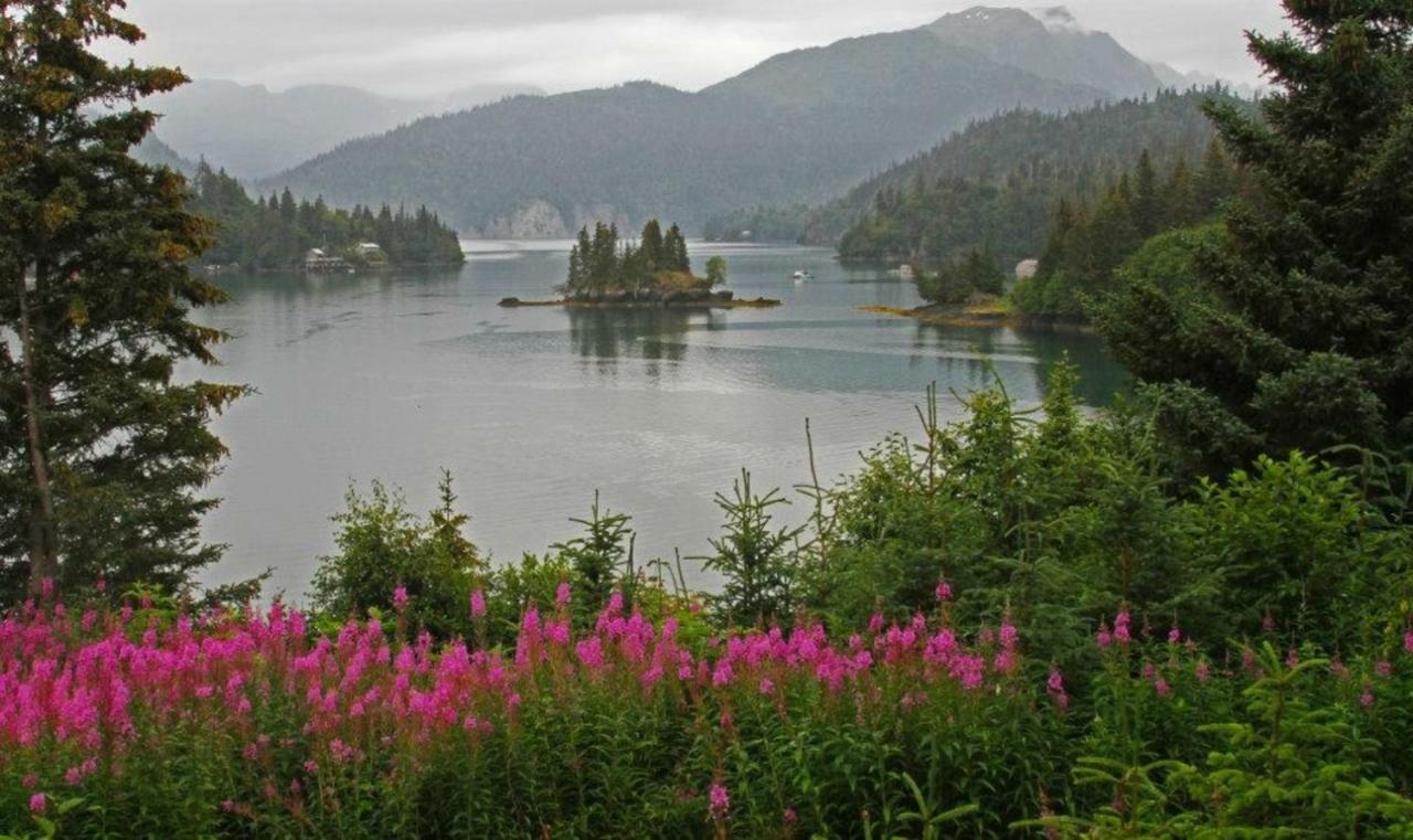 Stillpoint Lodge - All-Inclusive Halibut Cove Экстерьер фото